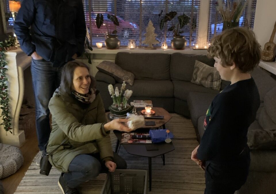 24 december 2020Update net voor het fout gaat