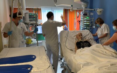 30 december 2020Nieuw bed met papegaai