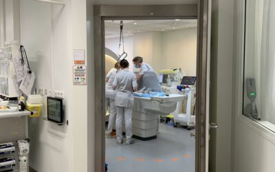 31 meiControles en MRI-scans