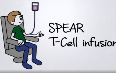 2 juliZoom meeting met Parijs